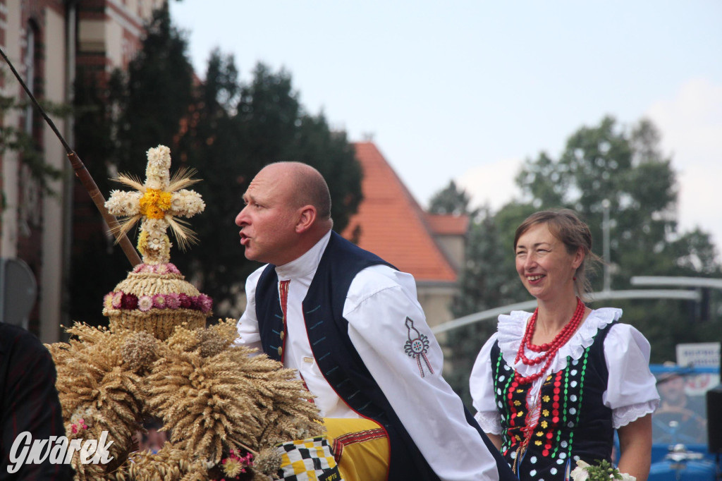 Gwarki i pochód. Było wystrzałowo [GALERIA]