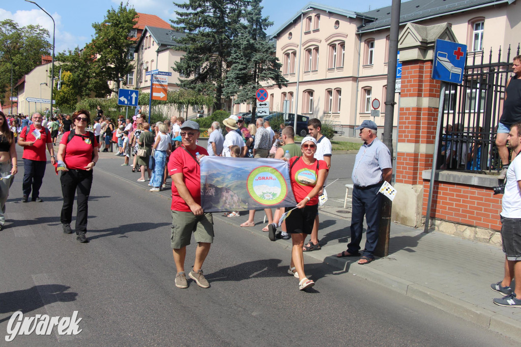 Gwarki i pochód. Było wystrzałowo [GALERIA]