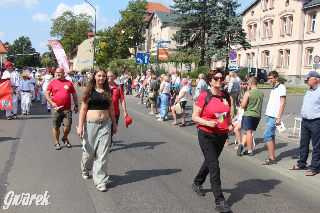 Gwarki i pochód. Było wystrzałowo [GALERIA]