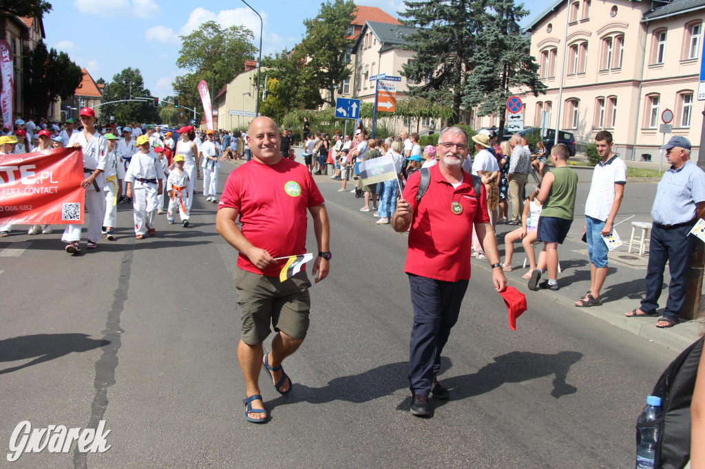 Gwarki i pochód. Było wystrzałowo [GALERIA]