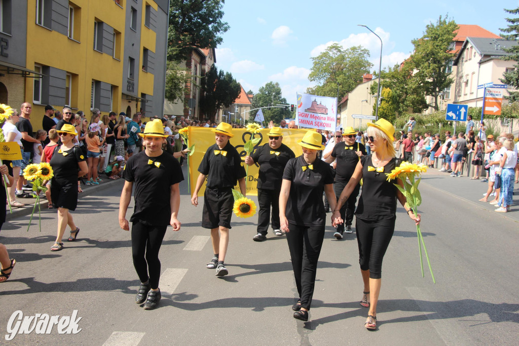 Gwarki i pochód. Było wystrzałowo [GALERIA]