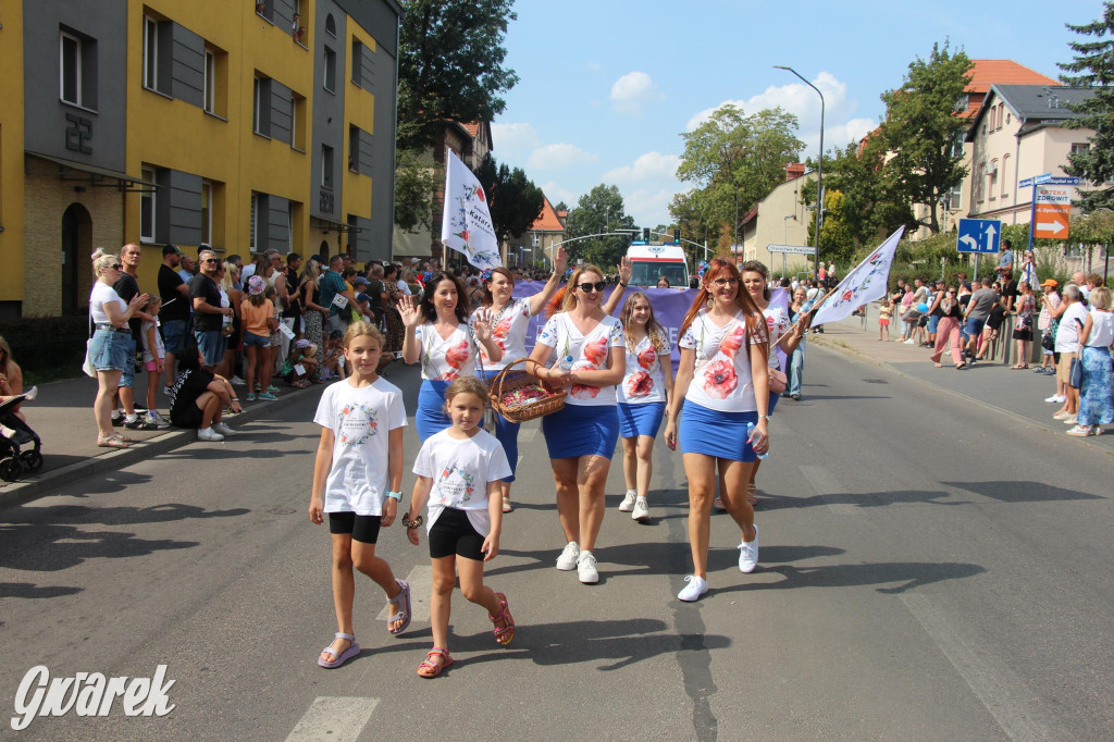 Gwarki i pochód. Było wystrzałowo [GALERIA]