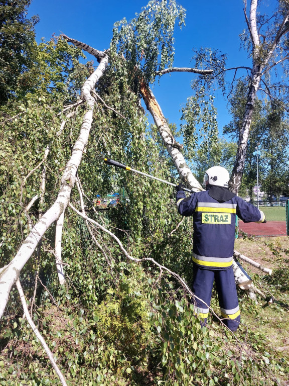 Piekary Śl. Interwencje strażaków [FOTO]