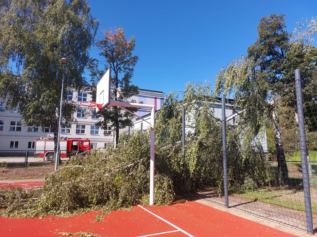 Piekary Śl. Interwencje strażaków [FOTO]