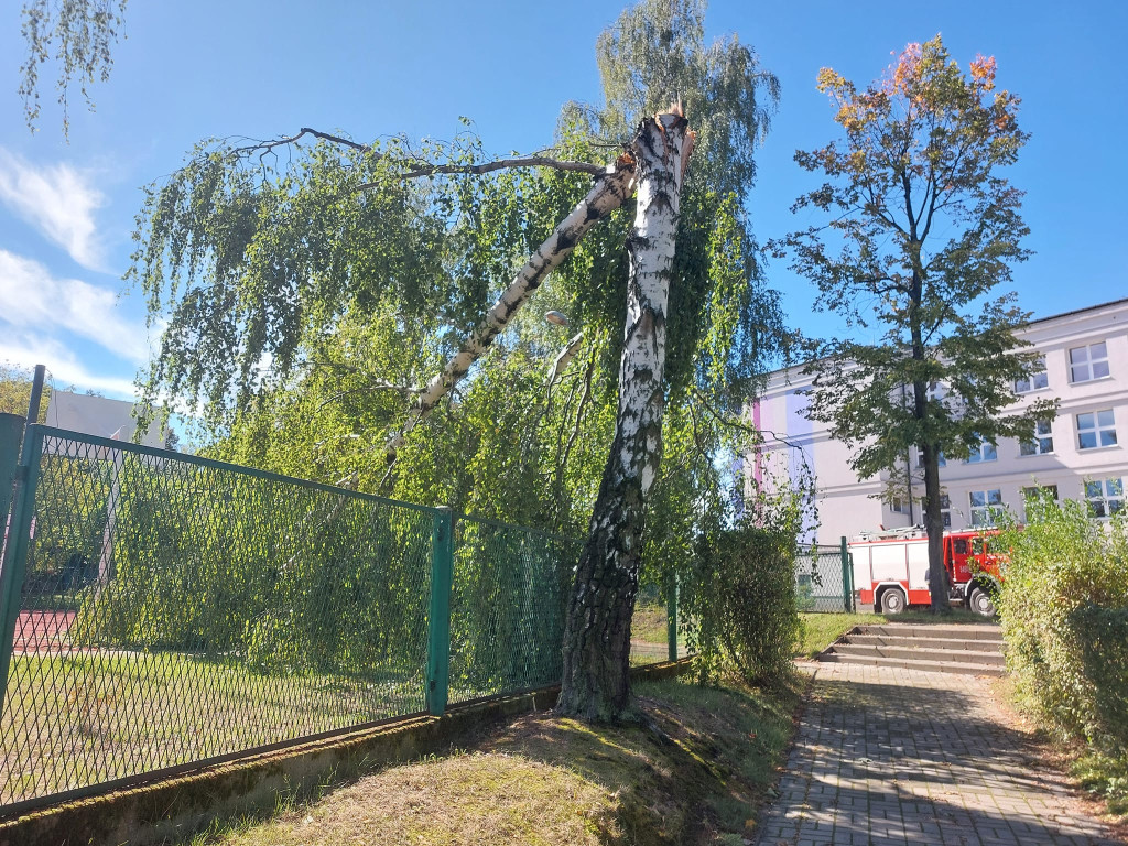 Piekary Śl. Interwencje strażaków [FOTO]