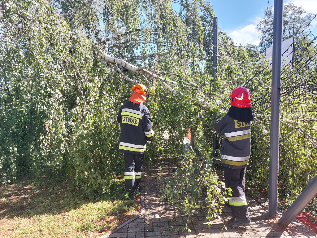 Piekary Śl. Interwencje strażaków [FOTO]