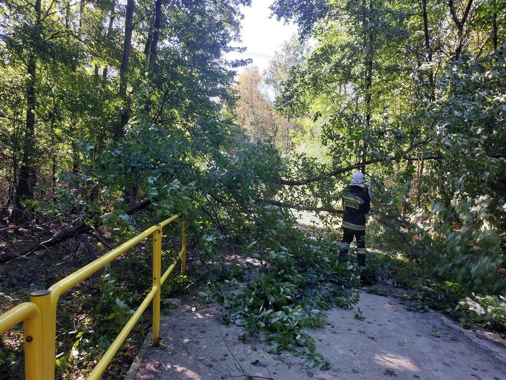 Piekary Śl. Interwencje strażaków [FOTO]