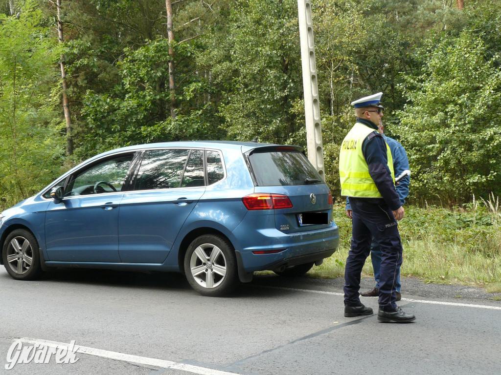 Tarnowskie Góry. Wypadek na DW 908 [FOTO]