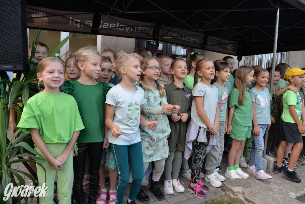 Tarnowskie Góry. Festyn w Trójce [ZDJĘCIA]