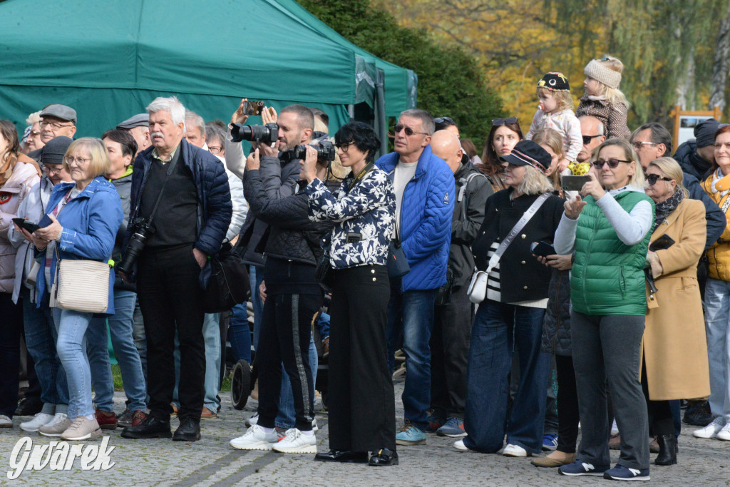 Świerklaniec. Hubertus Kawaleryjski 2024