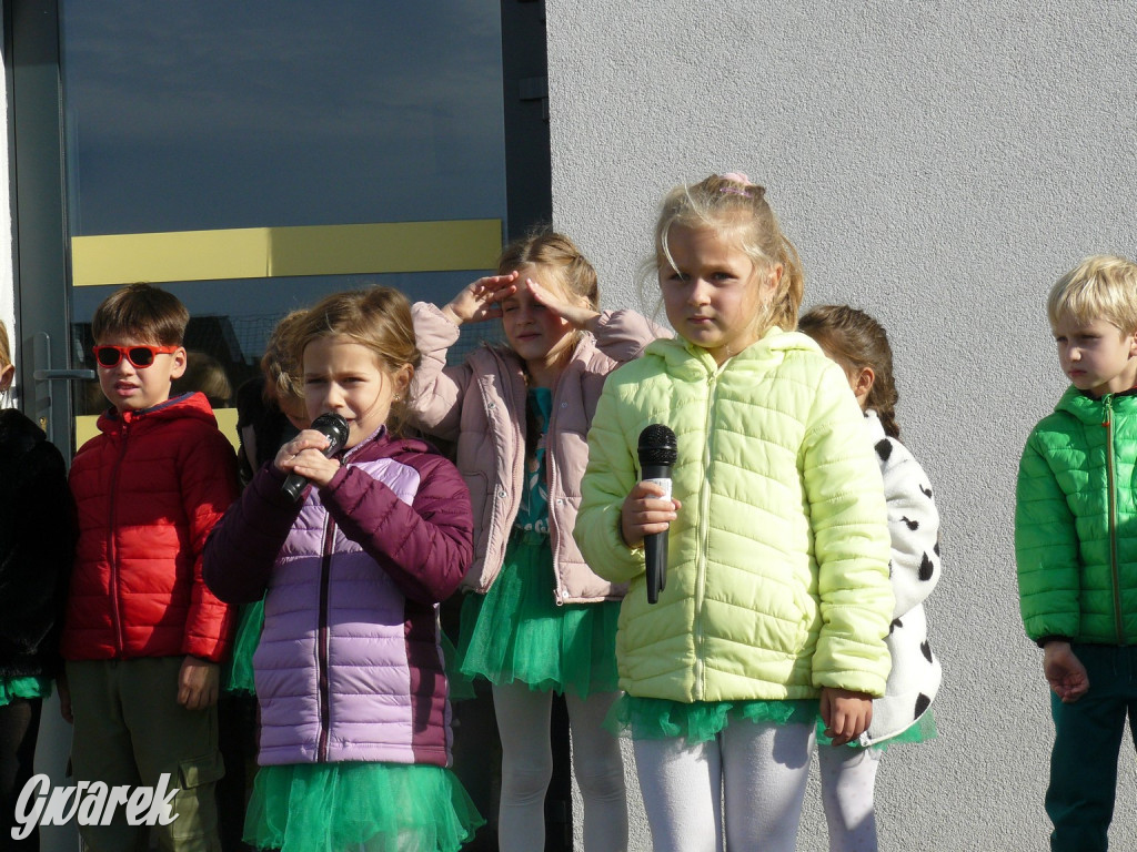 Tarnowskie Góry. Sadzonki za baterie [FOTO]