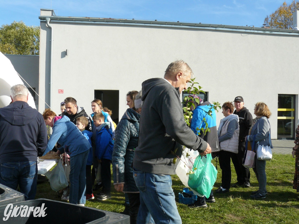 Tarnowskie Góry. Sadzonki za baterie [FOTO]