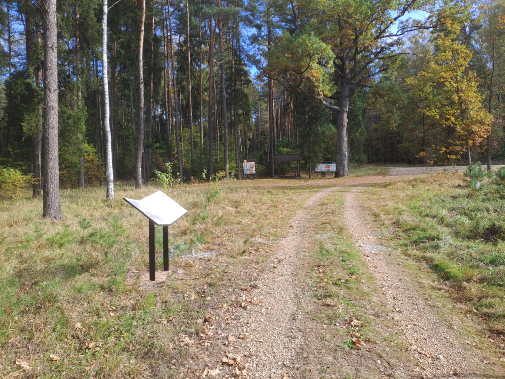 Respondek i Jarzombek. To oni za tym stoją [FOTO]