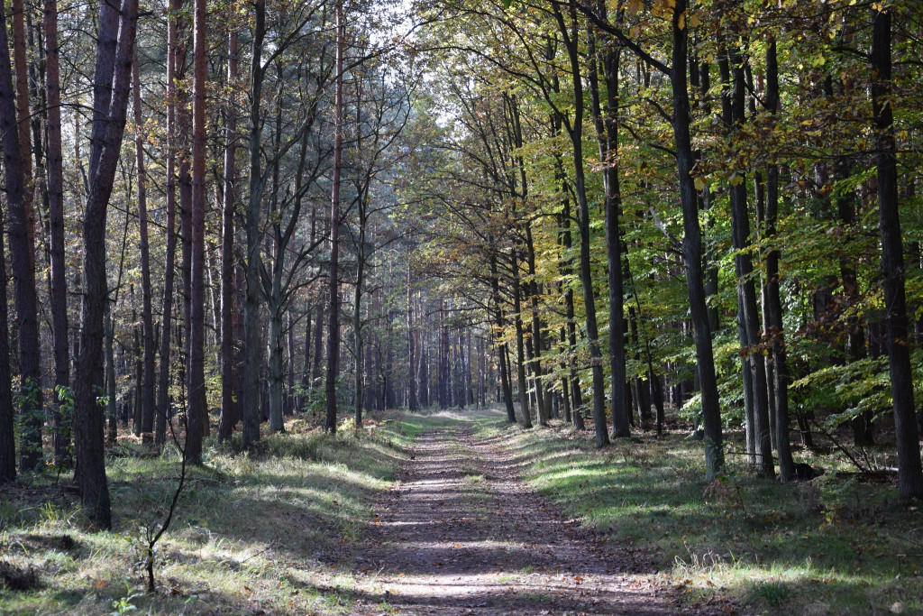 Respondek i Jarzombek. To oni za tym stoją [FOTO]