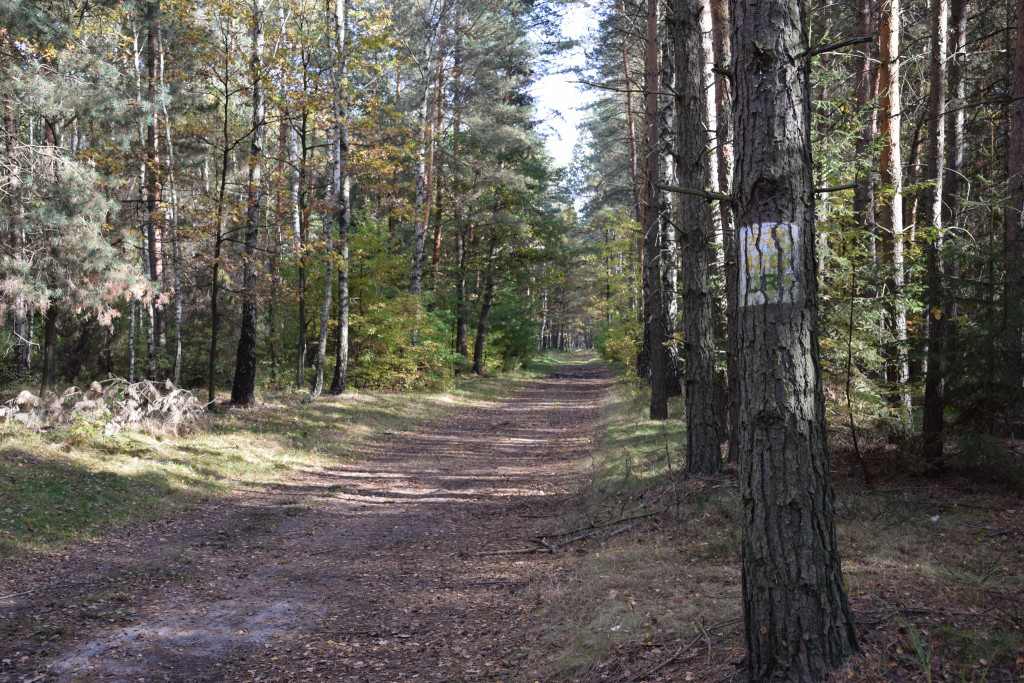 Respondek i Jarzombek. To oni za tym stoją [FOTO]