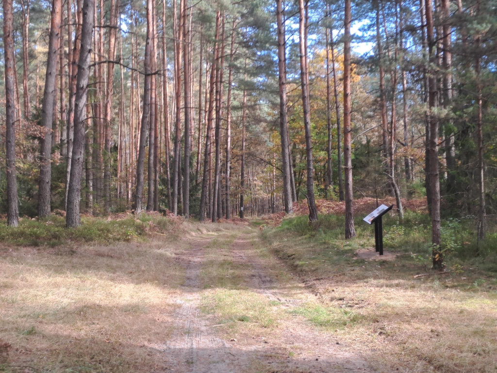 Respondek i Jarzombek. To oni za tym stoją [FOTO]