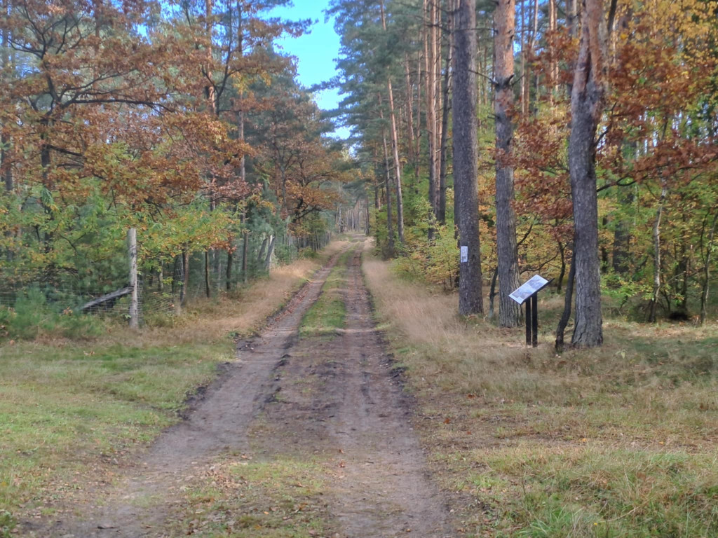 Respondek i Jarzombek. To oni za tym stoją [FOTO]