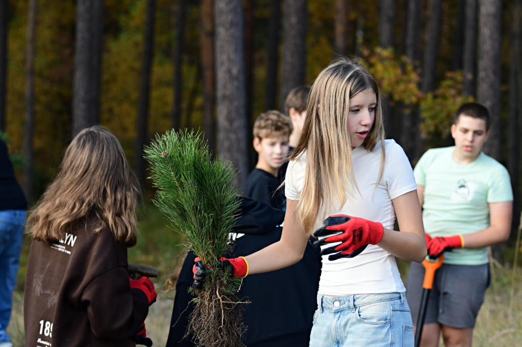 Nadleśnictwo Świerklaniec. Akcja w lesie [ZDJĘCIA]