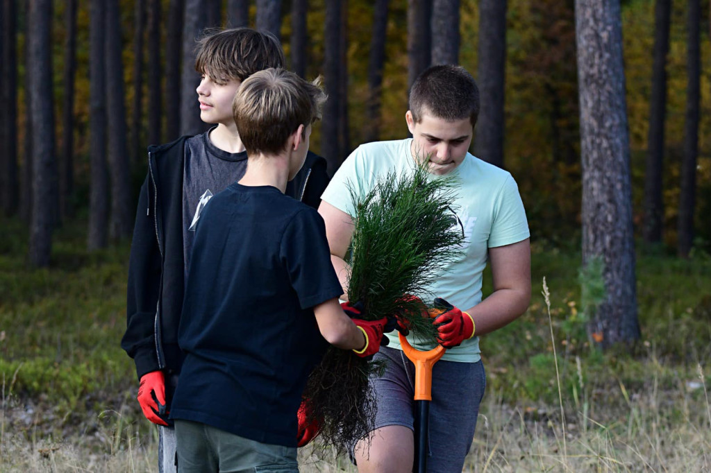 Nadleśnictwo Świerklaniec. Akcja w lesie [ZDJĘCIA]