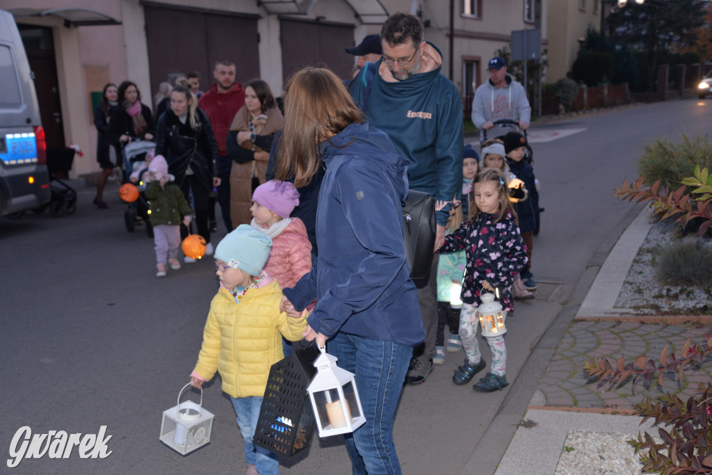 Repty Śląskie. II Parada Lampionów [ZDJĘCIA]