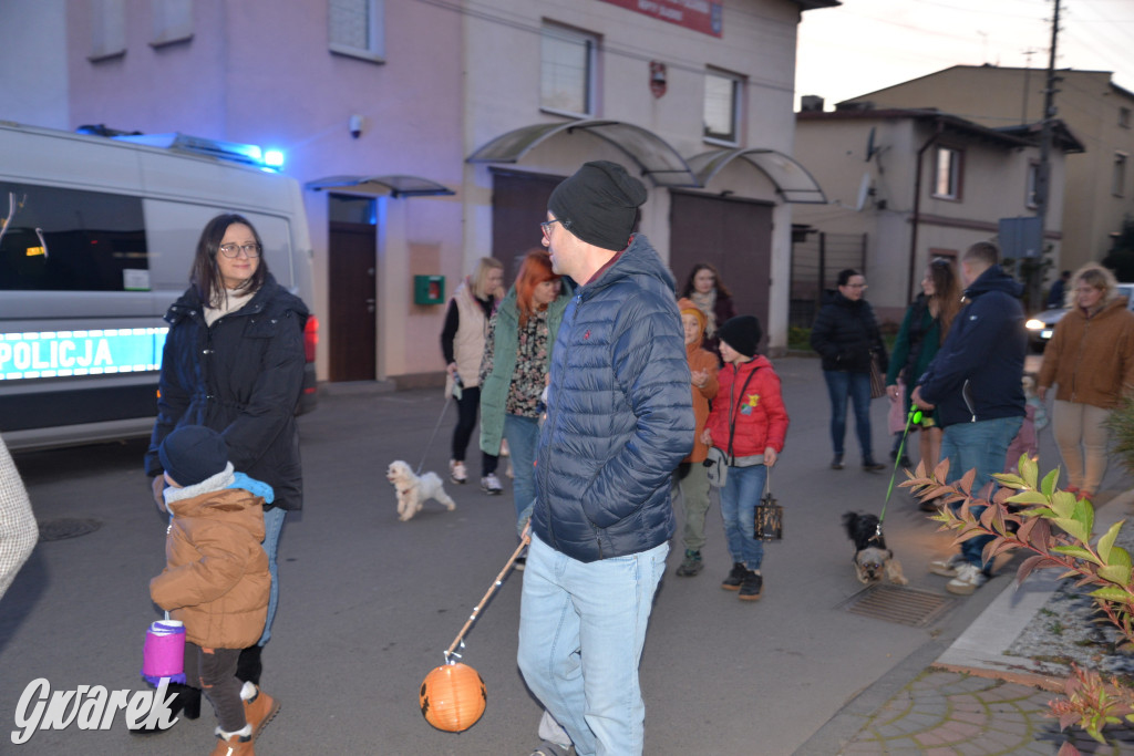 Repty Śląskie. II Parada Lampionów [ZDJĘCIA]