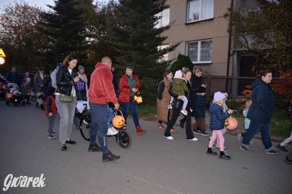 Repty Śląskie. II Parada Lampionów [ZDJĘCIA]