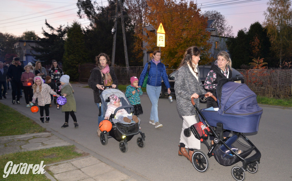 Repty Śląskie. II Parada Lampionów [ZDJĘCIA]