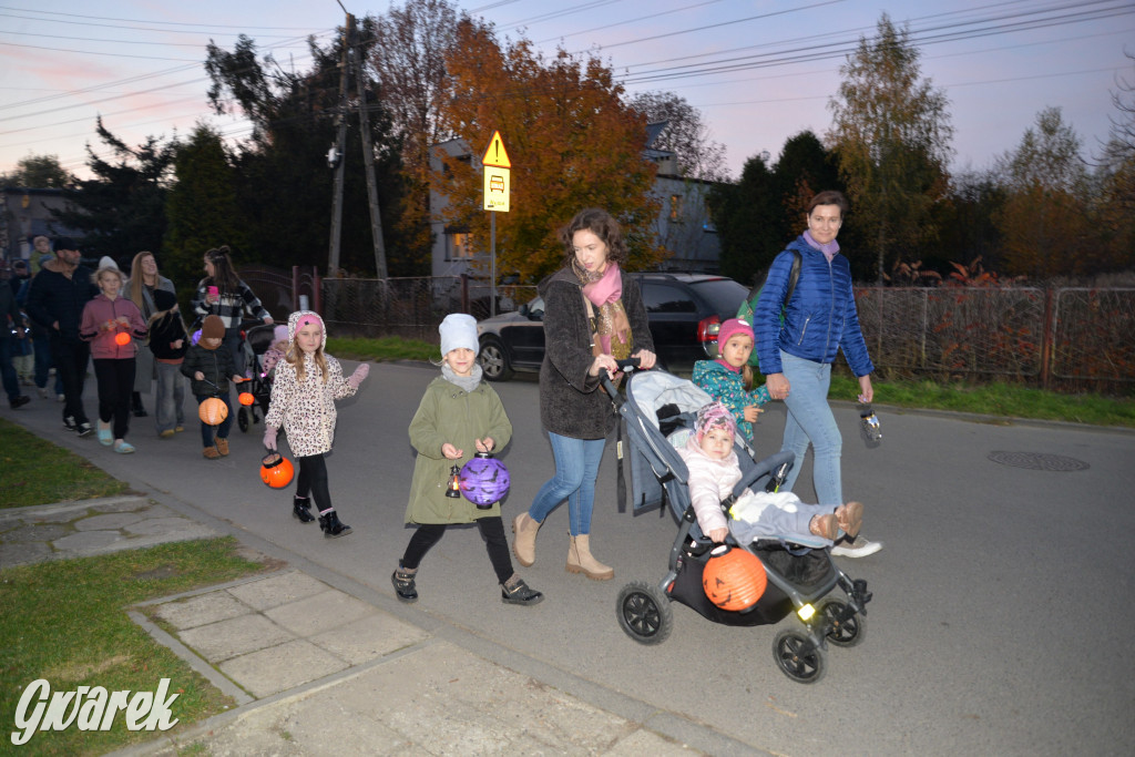 Repty Śląskie. II Parada Lampionów [ZDJĘCIA]