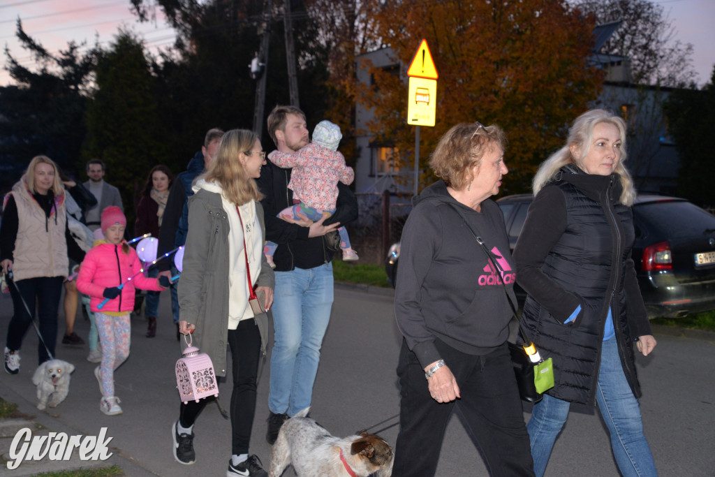 Repty Śląskie. II Parada Lampionów [ZDJĘCIA]