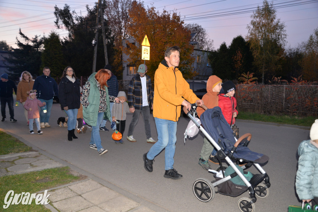 Repty Śląskie. II Parada Lampionów [ZDJĘCIA]