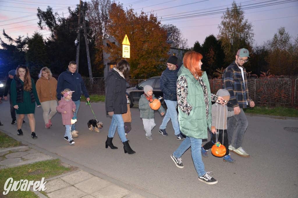 Repty Śląskie. II Parada Lampionów [ZDJĘCIA]