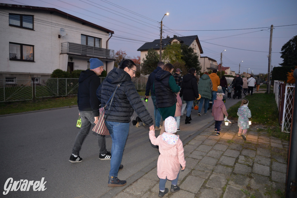 Repty Śląskie. II Parada Lampionów [ZDJĘCIA]