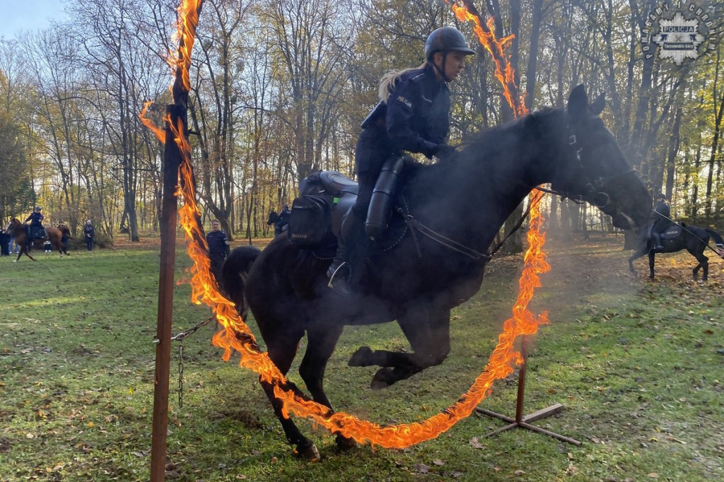 Tarnowskie Góry.  Akcja policji konnej w parku [FOTO]