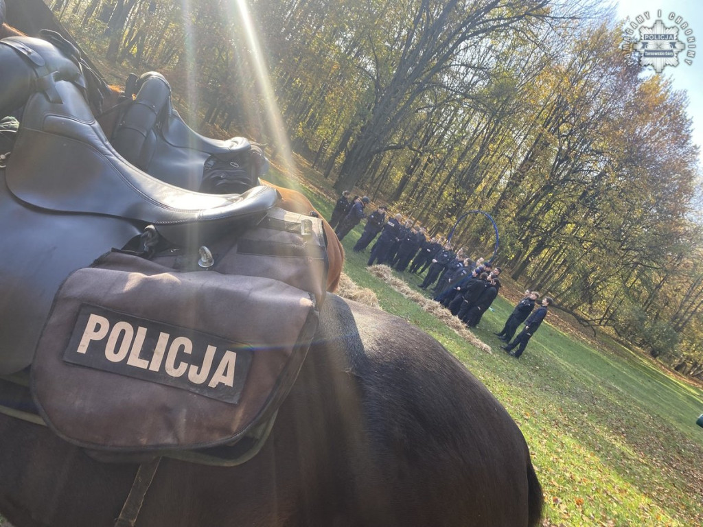 Tarnowskie Góry.  Akcja policji konnej w parku [FOTO]