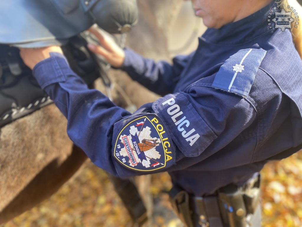 Tarnowskie Góry.  Akcja policji konnej w parku [FOTO]