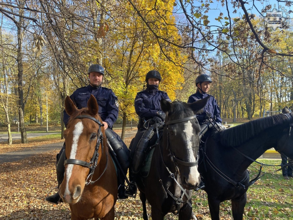 Tarnowskie Góry.  Akcja policji konnej w parku [FOTO]