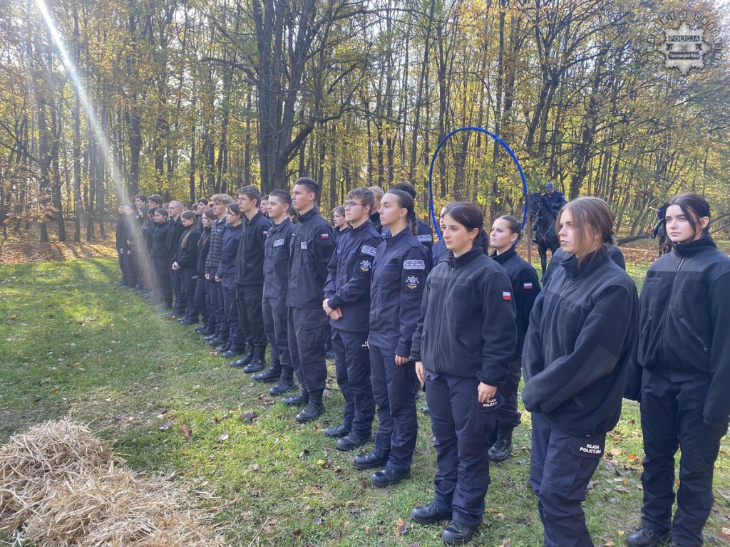 Tarnowskie Góry.  Akcja policji konnej w parku [FOTO]