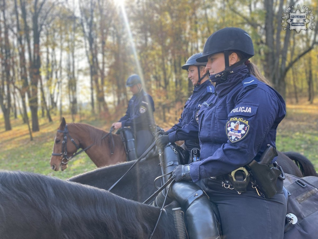 Tarnowskie Góry.  Akcja policji konnej w parku [FOTO]