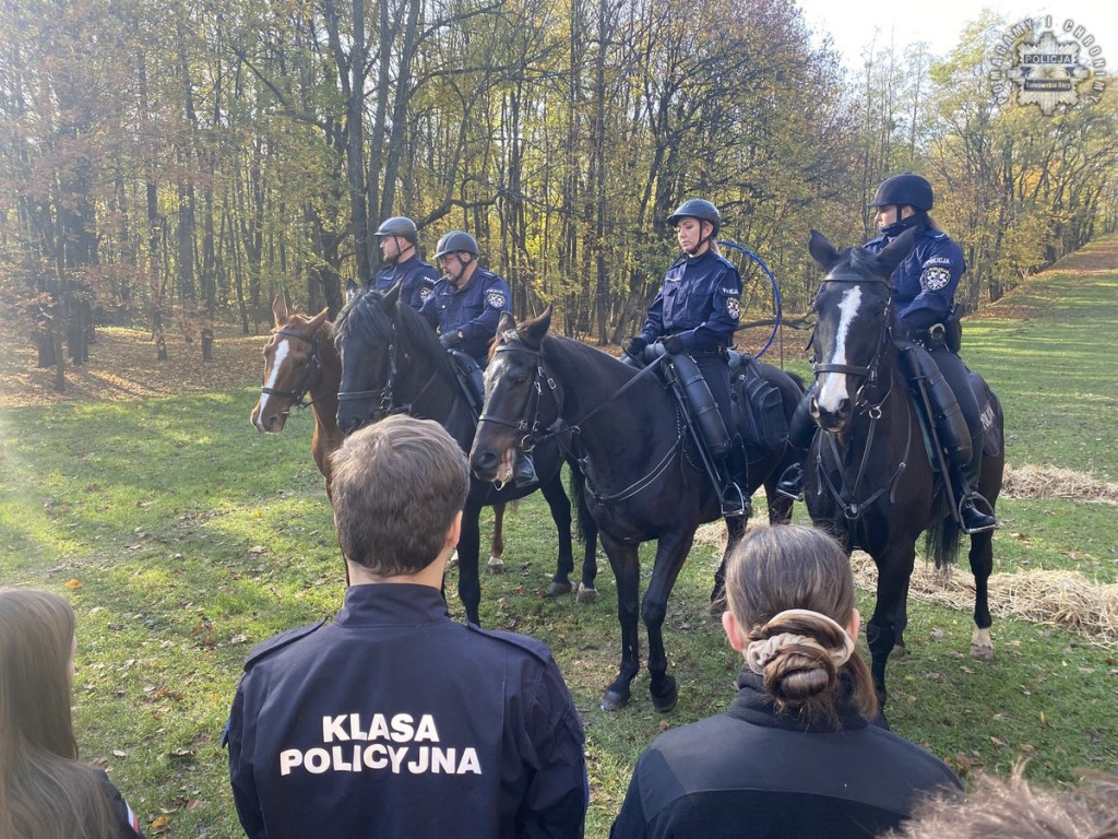 Tarnowskie Góry.  Akcja policji konnej w parku [FOTO]