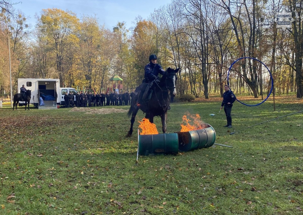 Tarnowskie Góry.  Akcja policji konnej w parku [FOTO]