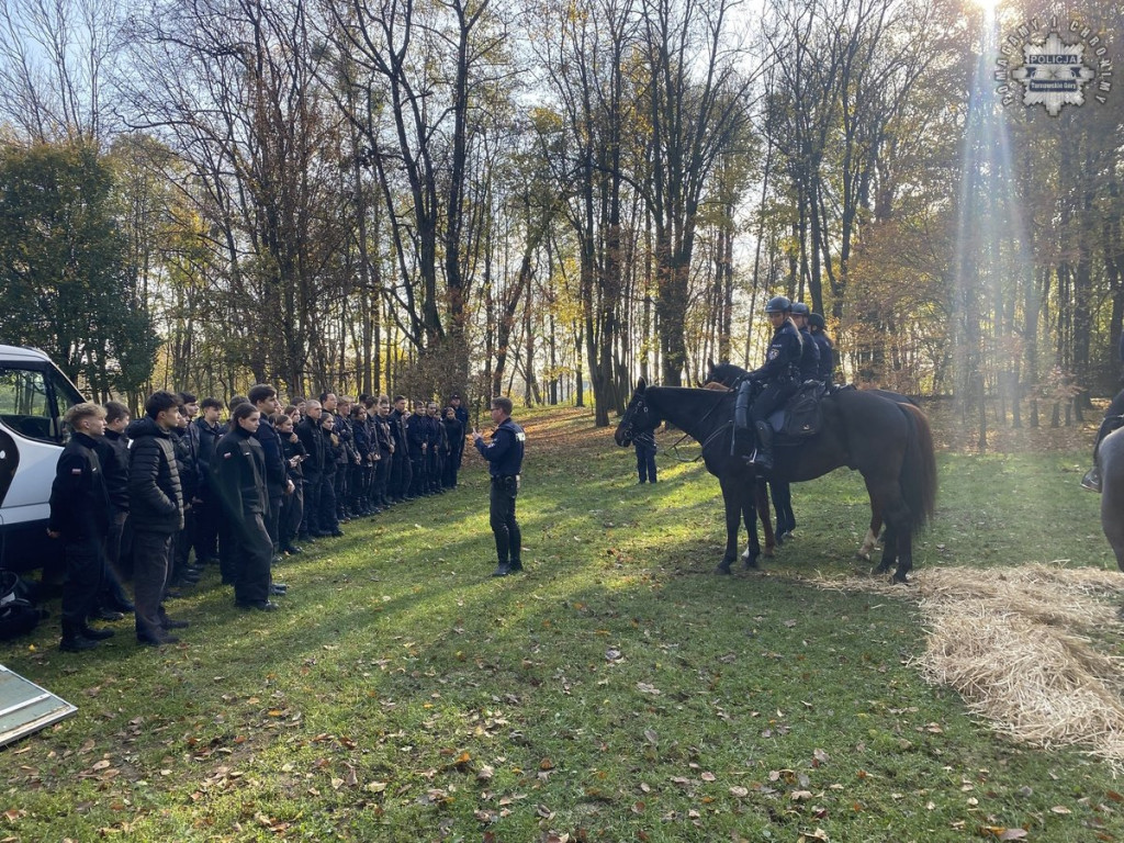 Tarnowskie Góry.  Akcja policji konnej w parku [FOTO]