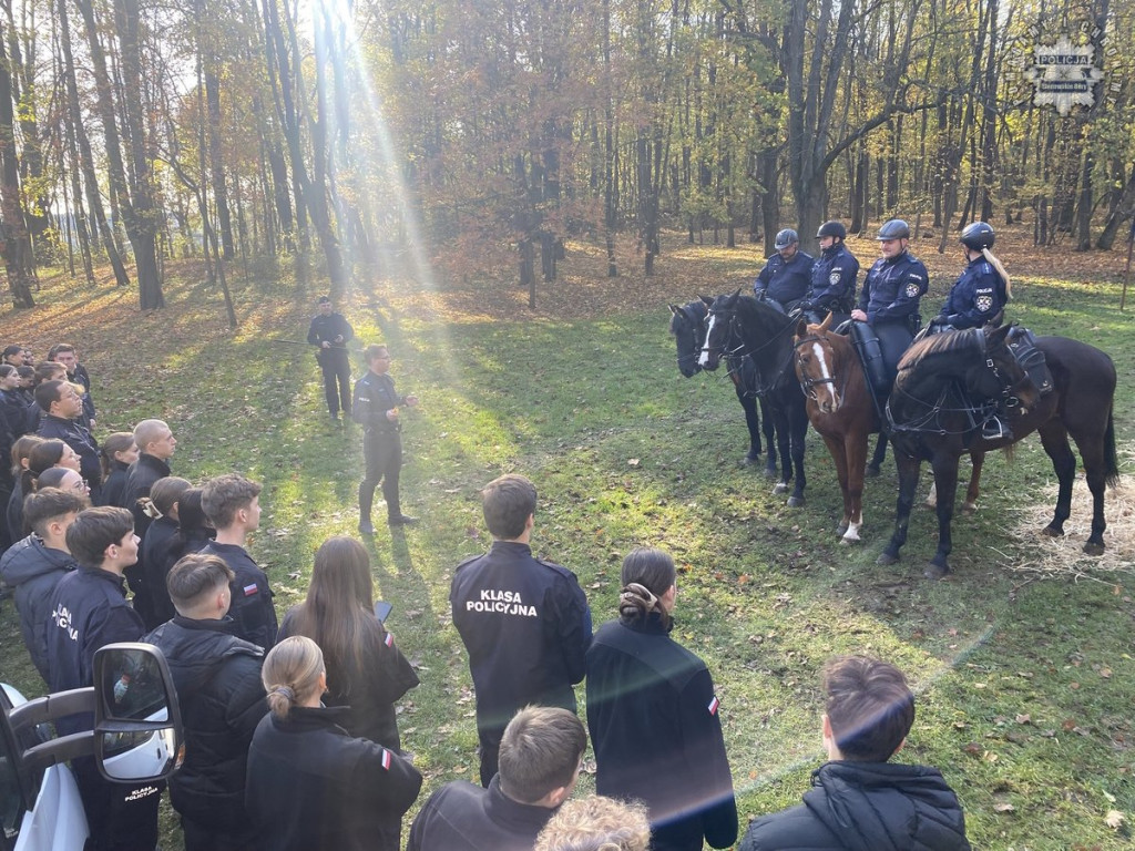 Tarnowskie Góry.  Akcja policji konnej w parku [FOTO]