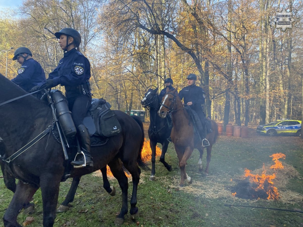 Tarnowskie Góry.  Akcja policji konnej w parku [FOTO]