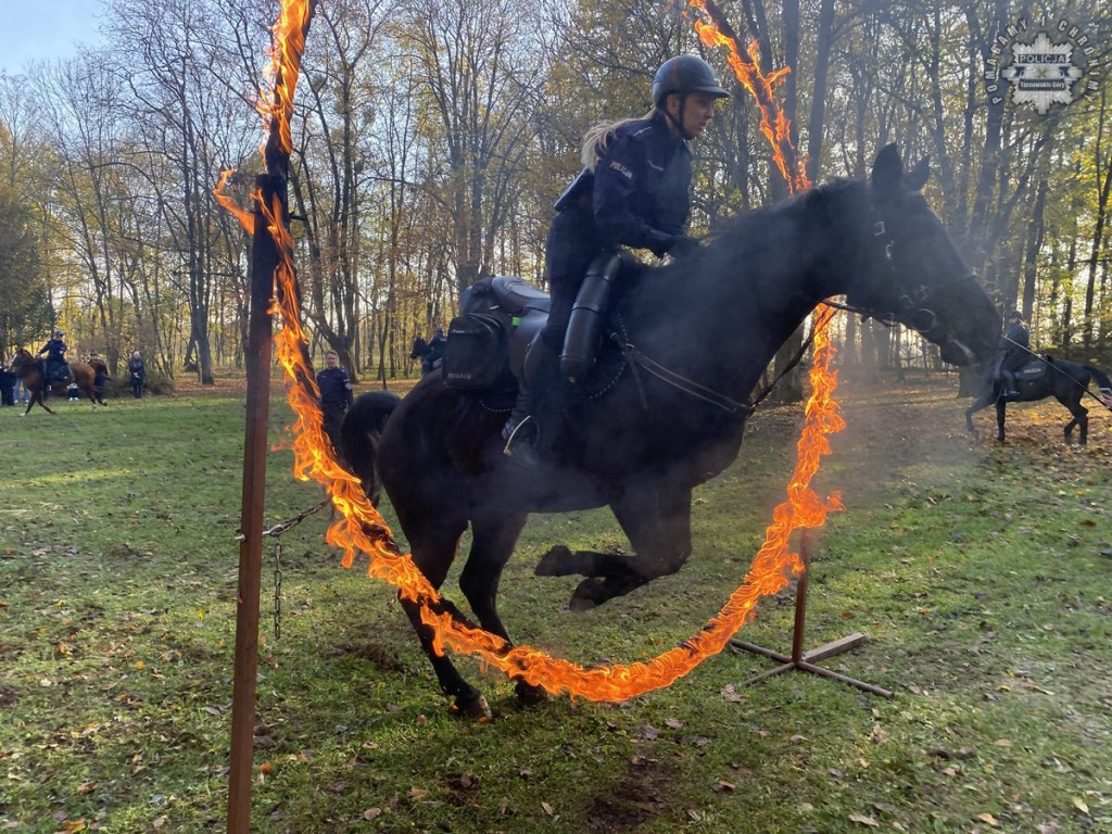 Tarnowskie Góry.  Akcja policji konnej w parku [FOTO]