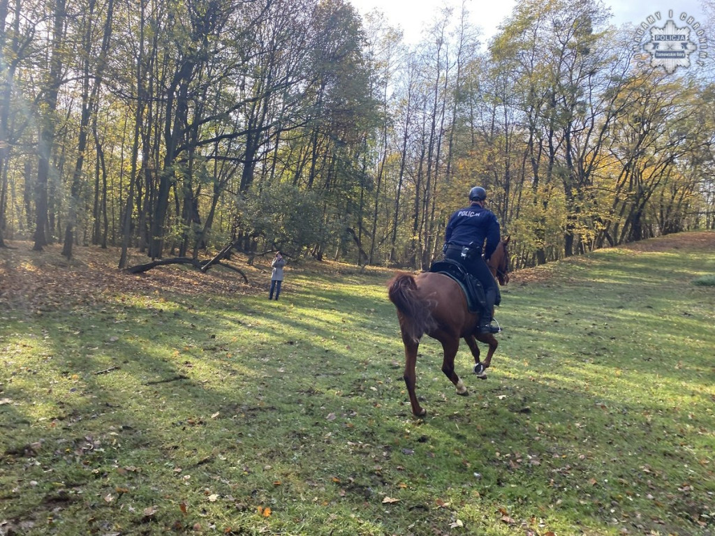 Tarnowskie Góry.  Akcja policji konnej w parku [FOTO]