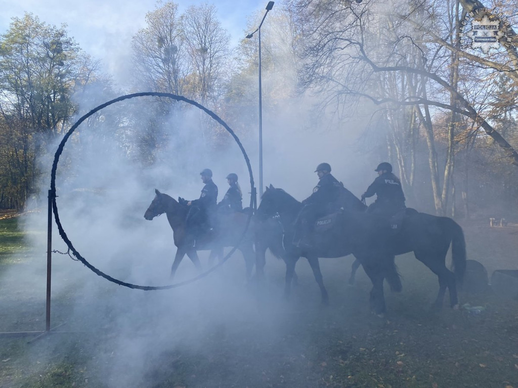 Tarnowskie Góry.  Akcja policji konnej w parku [FOTO]