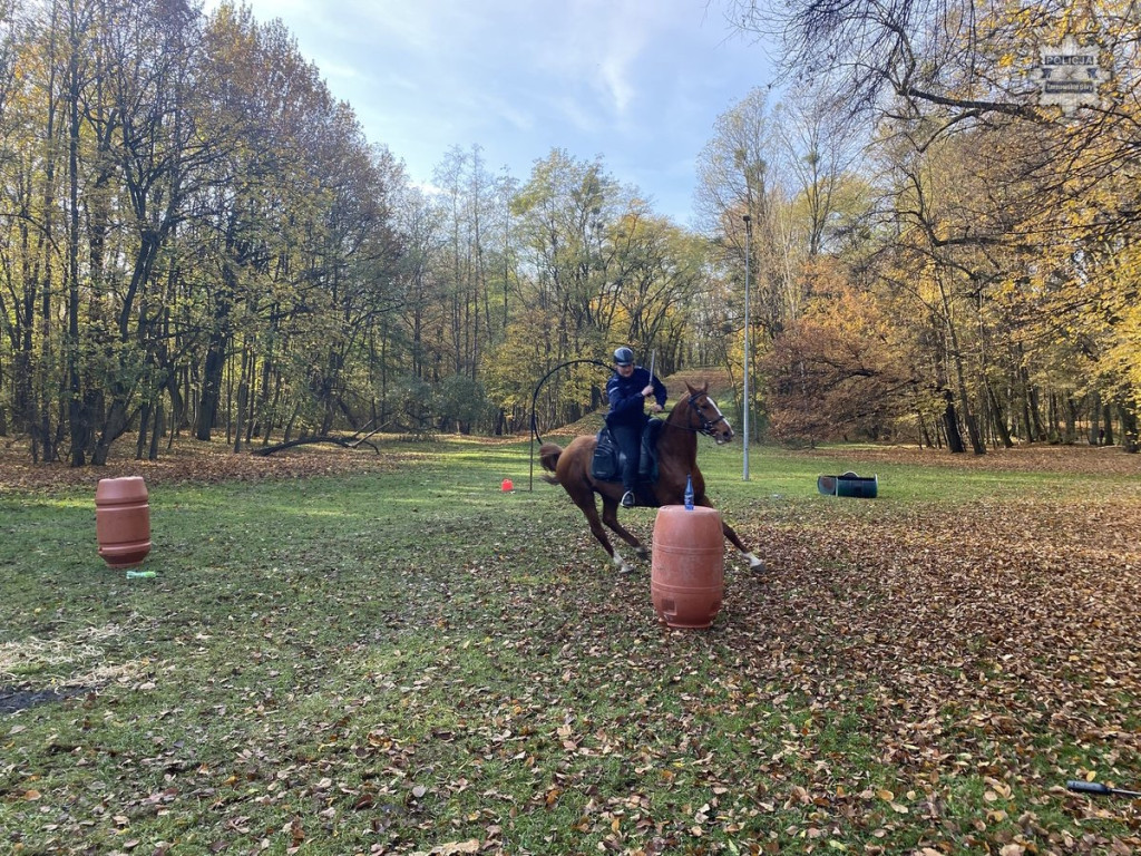 Tarnowskie Góry.  Akcja policji konnej w parku [FOTO]