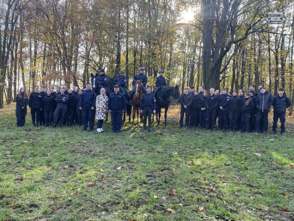 Tarnowskie Góry.  Akcja policji konnej w parku [FOTO]