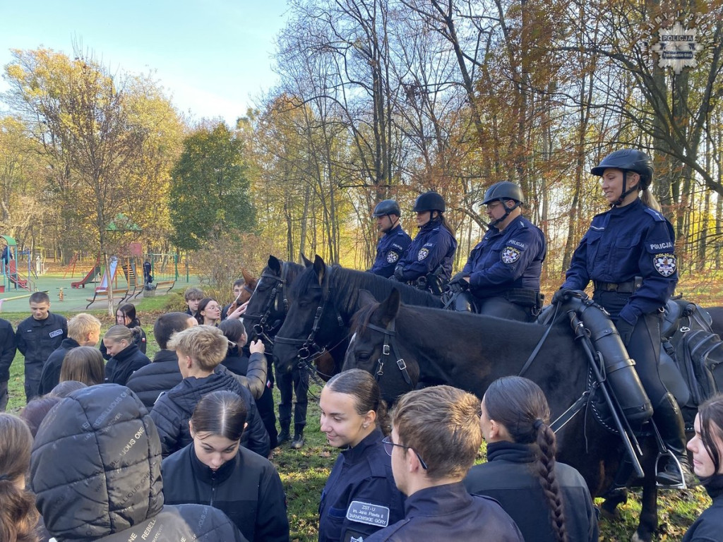 Tarnowskie Góry.  Akcja policji konnej w parku [FOTO]