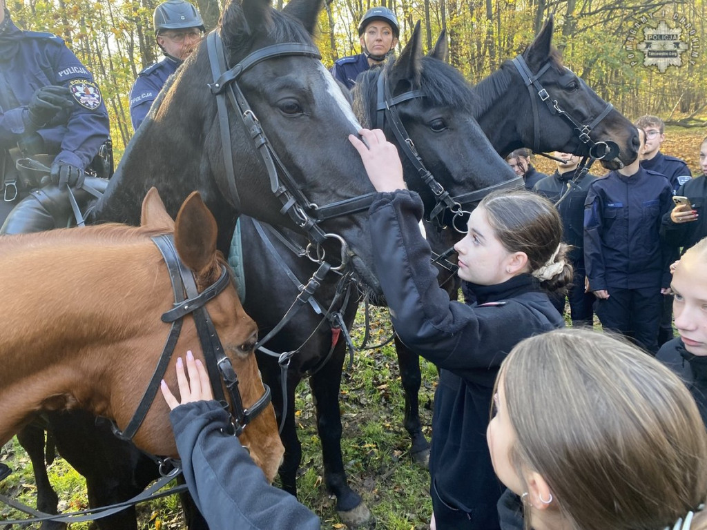 Tarnowskie Góry.  Akcja policji konnej w parku [FOTO]